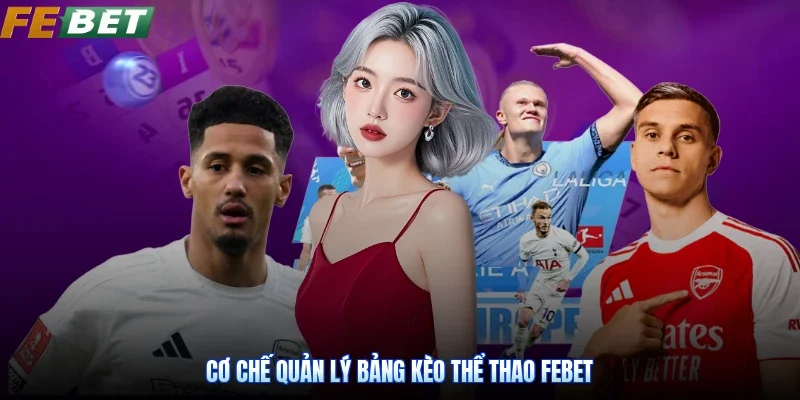 Cơ chế quản lý bảng kèo thể thao Febet