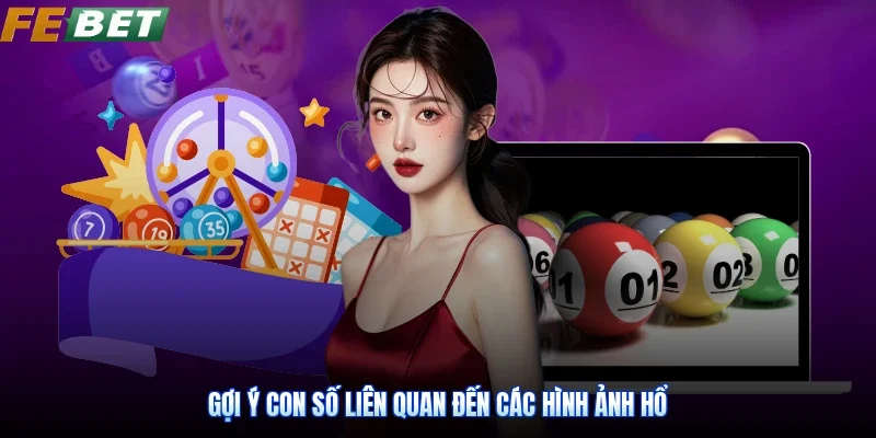 Gợi ý con số liên quan đến các hình ảnh hổ