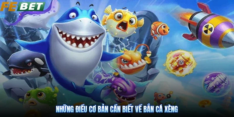 Những điều cơ bản cần biết về bắn cá xèng